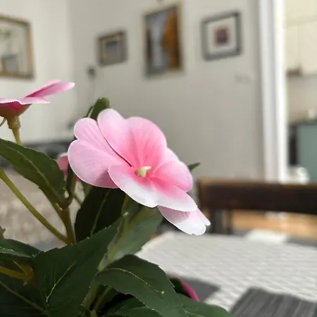 K15 Cozy Lägenhet *